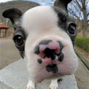 Meet your Posher, Linda